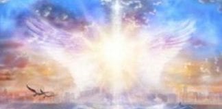 Ashian : Ce que nous aimerions que vous sachiez maintenant